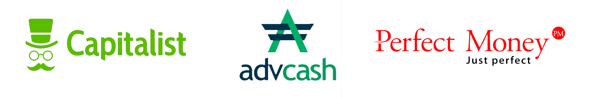 vps or vds and dedicated server by capitalist advcash perfectmoney