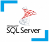 ms sql server on your hosting