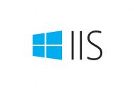 iis web hosting