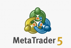 10 Features to Look for in a VPS for MetaTrader 5