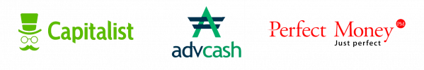 vps or vds and dedicated server by capitalist advcash perfectmoney