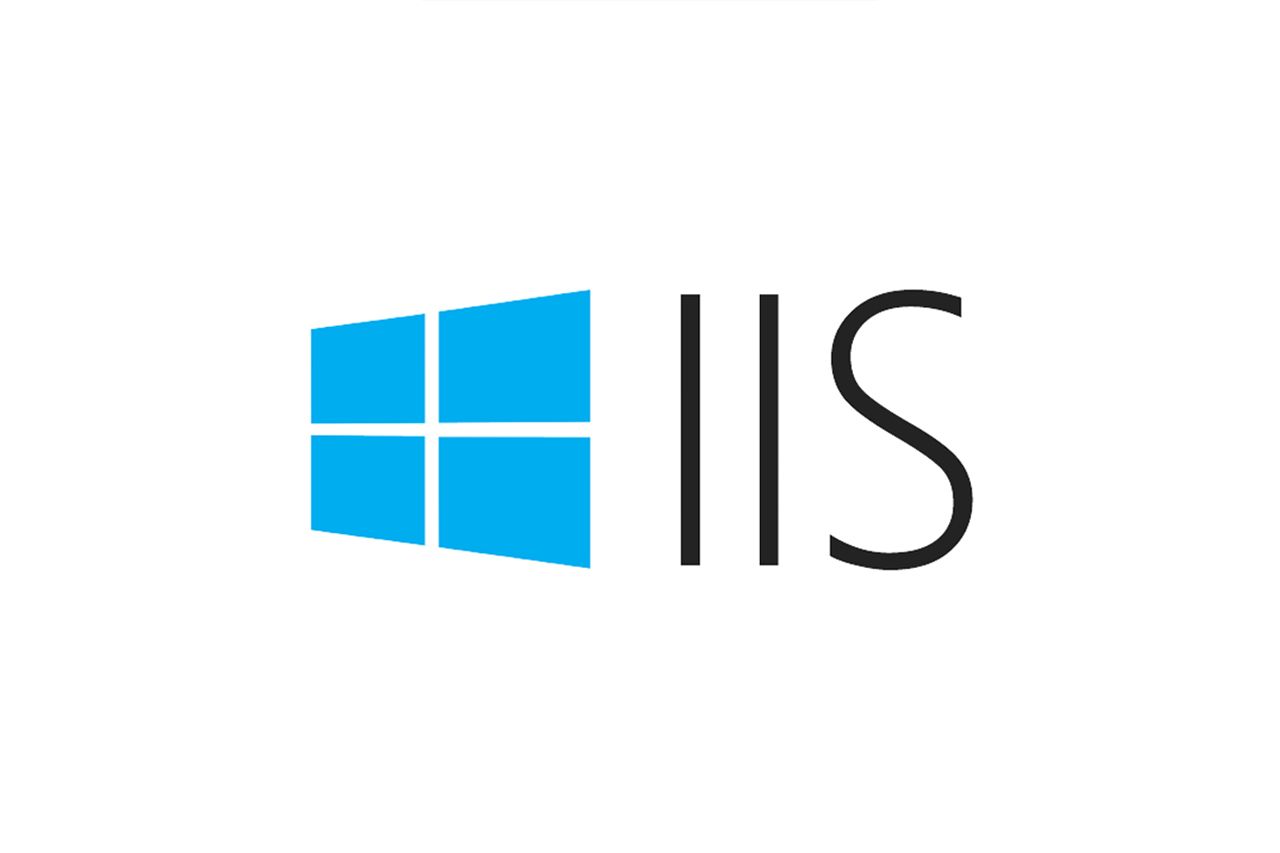 IIS web server on developers windows server