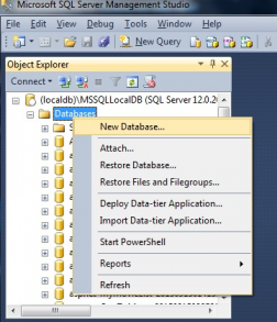 host your database on hosting with MS SQL